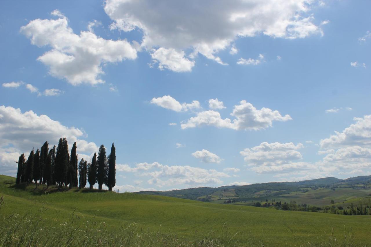 Villa La Casina Di Nonna Lola à Castiglione dʼOrcia Extérieur photo